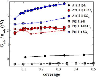 Sulfate, Bisulfate, and Hydrogen Co-adsorption on Pt(111) and Au(111) in an Electrochemical Environment